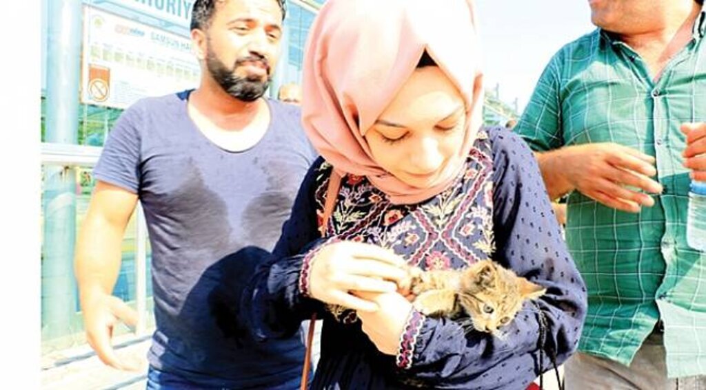 Yavru kedi son anda kurtarıldı