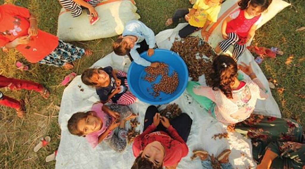 Mevsimlik işçilerin çocuklarının ağır yükü