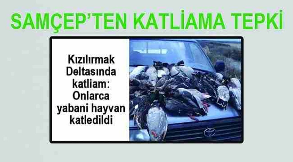 SAMÇEP’TEN KATLİAMA TEPKİ