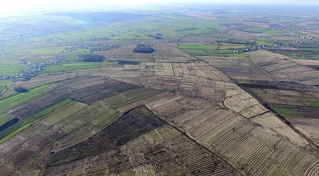 Deltada hasat sonrası çeltik tarlaları