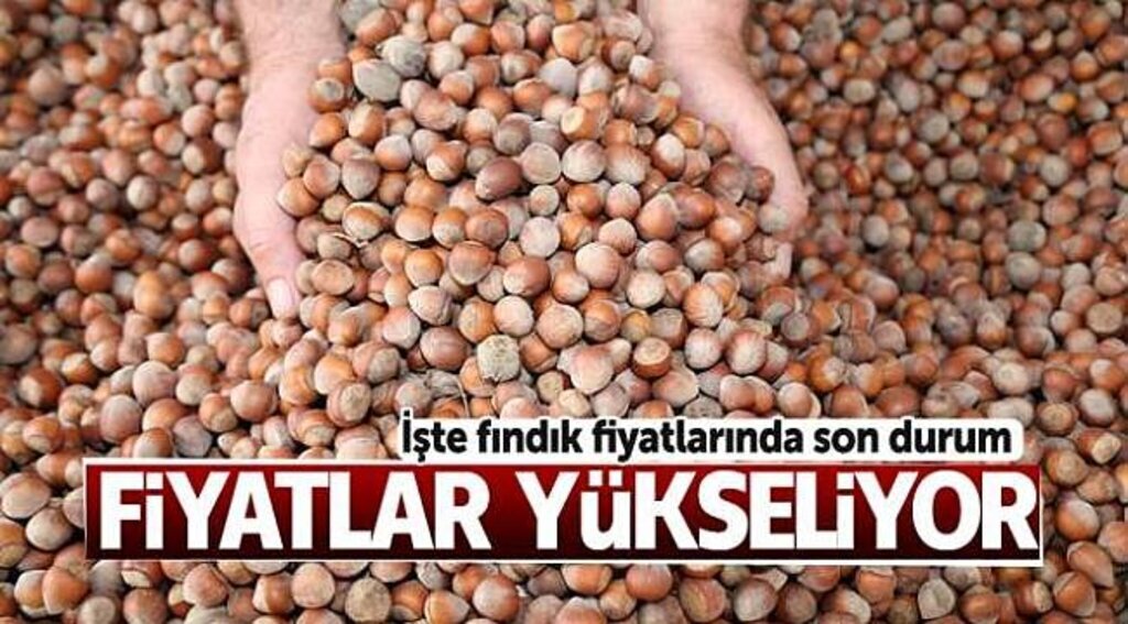 Fındığı bekletenler karda