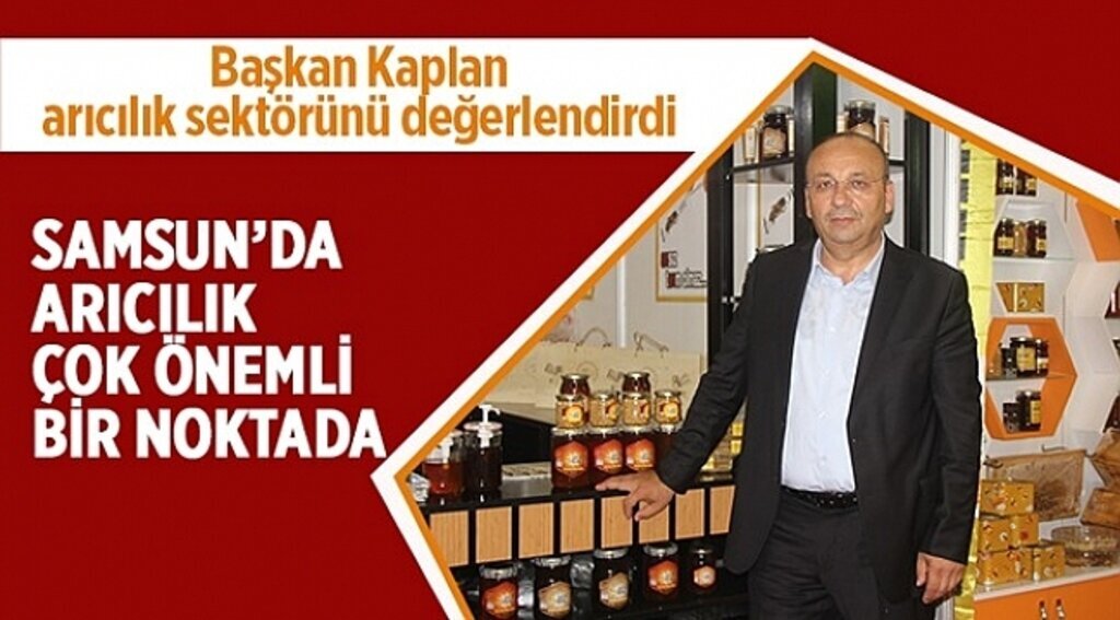 Samsun'da arıcılar bin 300 ton üretim yapıyor
