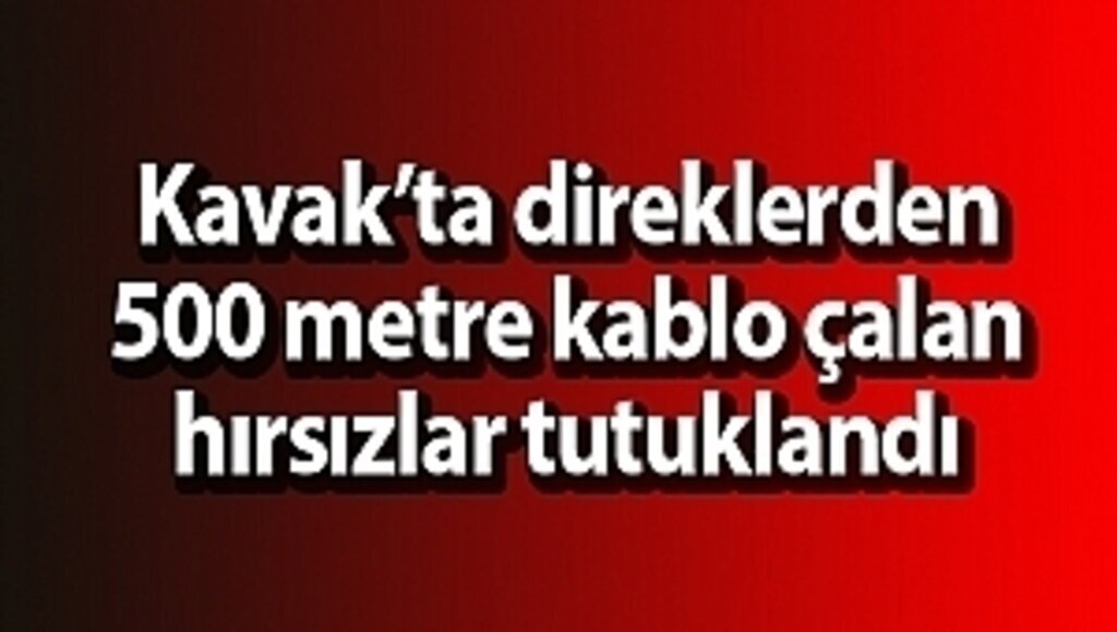 Samsun Haber - Kablo hırsızları tutuklandı