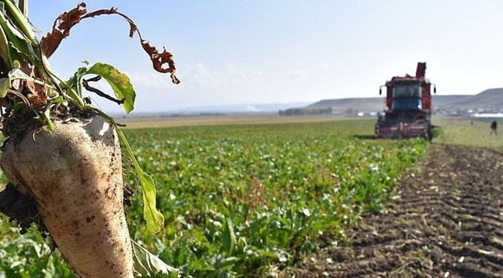 Samsun’da çiftçi şeker fabrikasının açılmasından memnun
