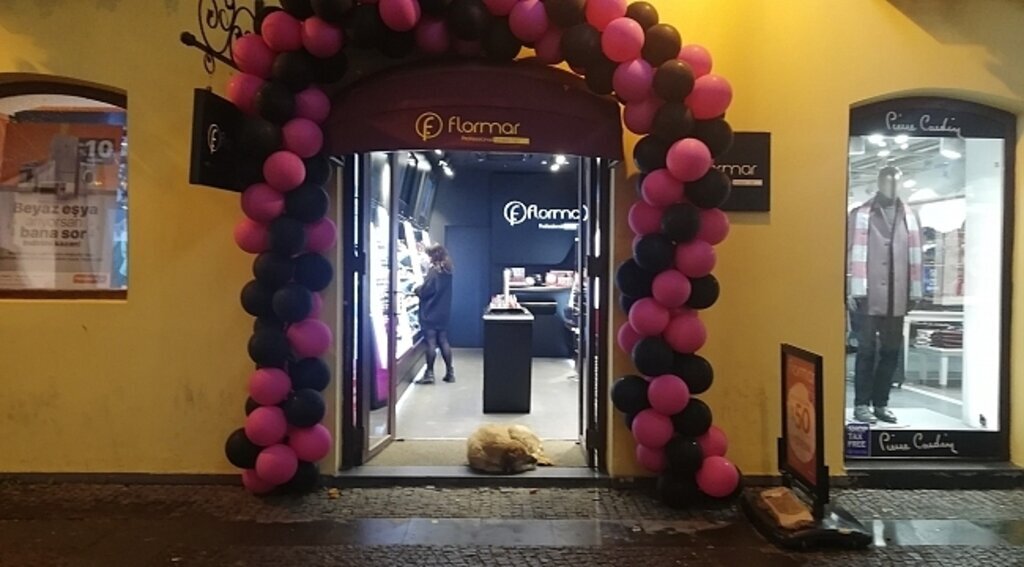 Samsun Haber - Samsunlu esnaflar kapılarını köpeklere açtı