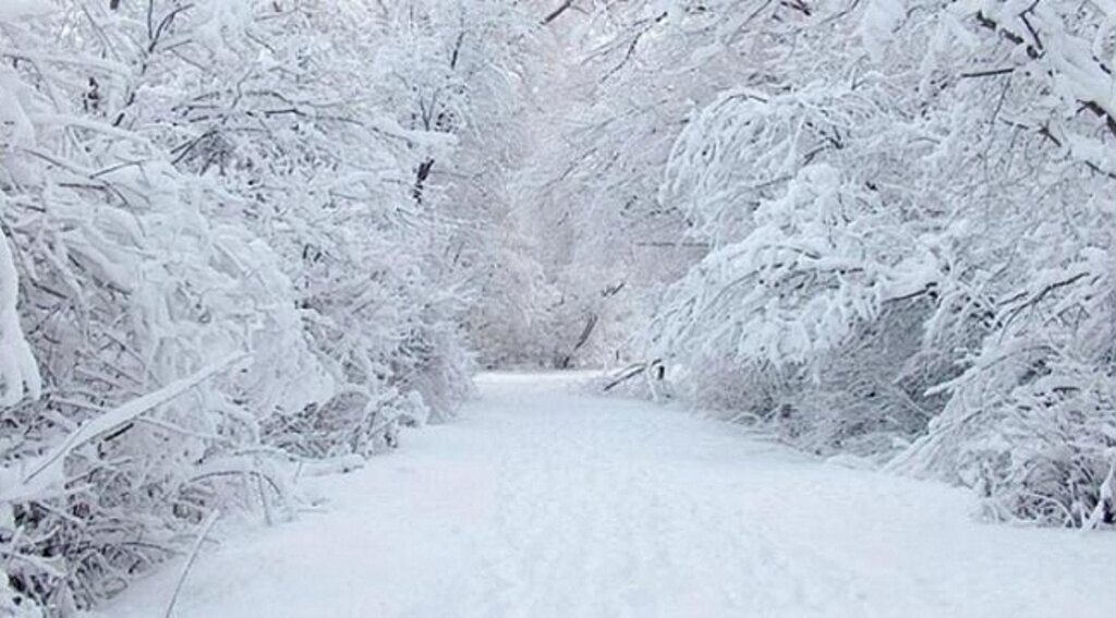 Samsun'a Meteoroloji'den kar uyarısı