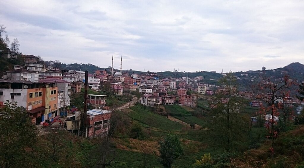 Karadeniz'de bir belde karantinaya alındı