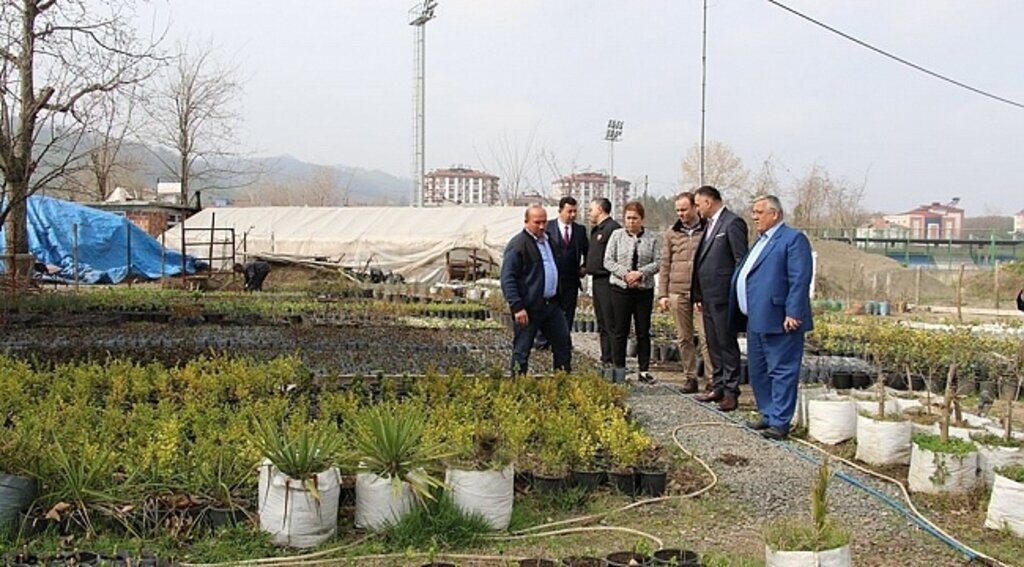 Salıpazarı Belediyesi'nden fidan seferberliği
