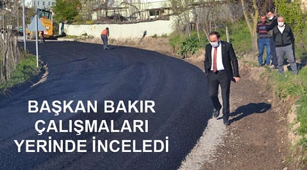 Başkan Bakır çalışmaları inceledi