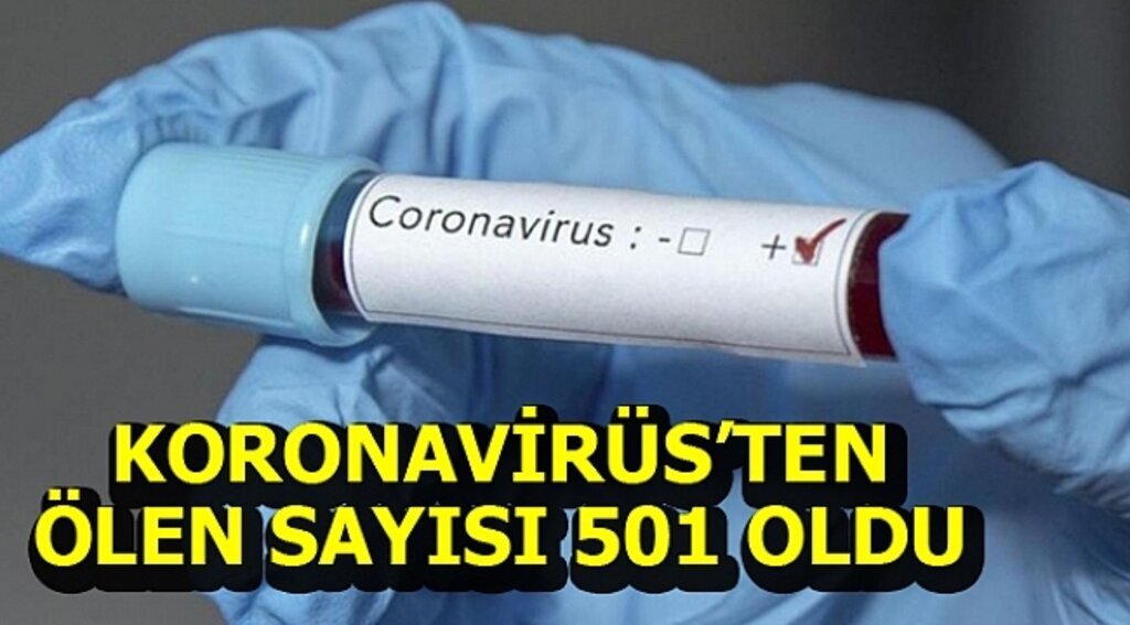 Koronavirüs'ten ölen sayısı 501 oldu