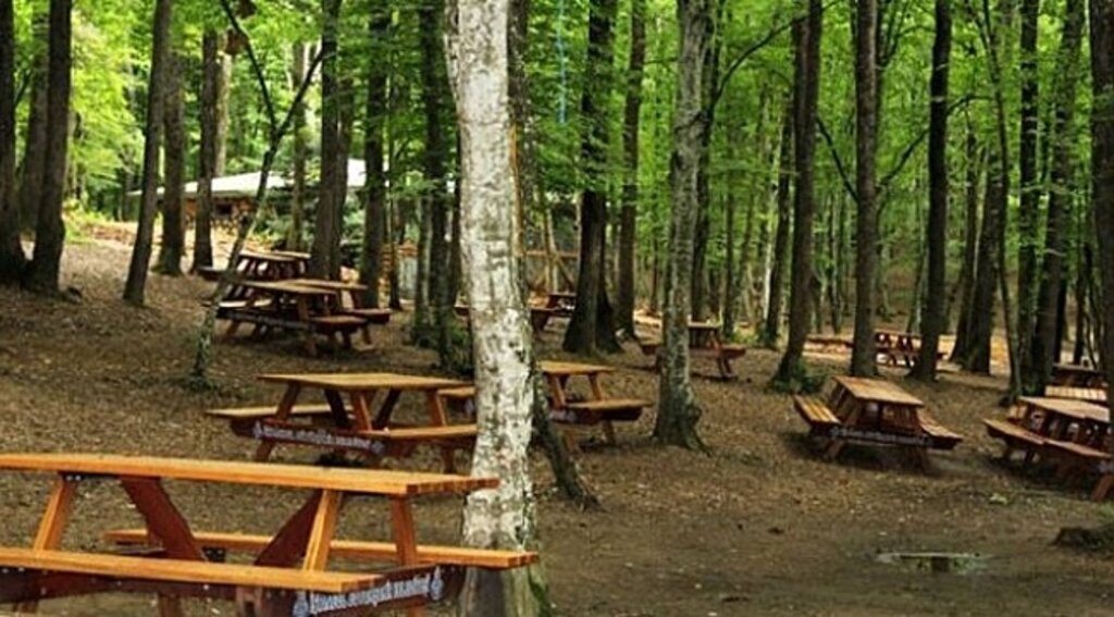Samsun'da piknik yapan kişiye para cezası