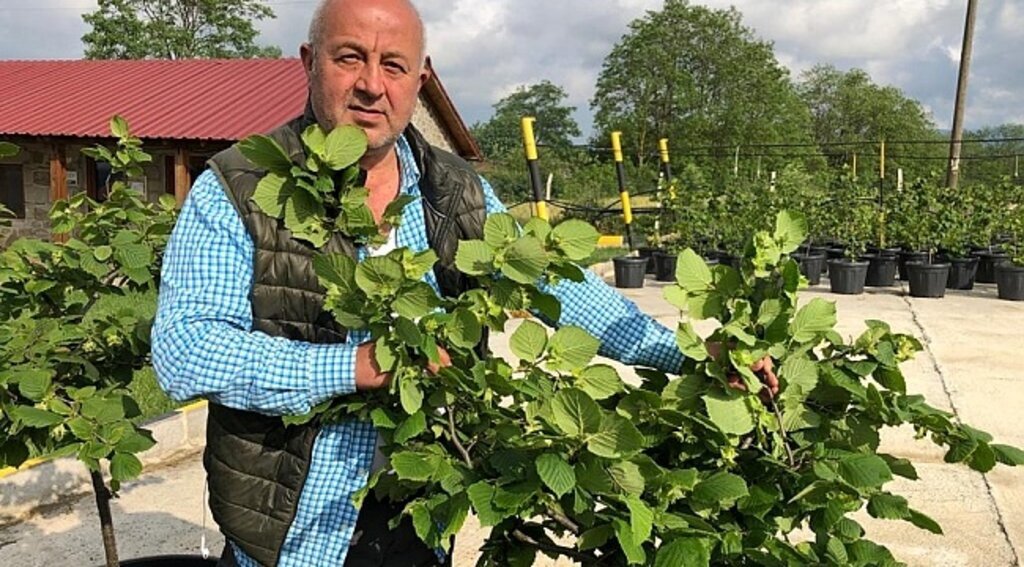 Tarım dostu OKE iştiraki ile Türkiye'nin ilk fındık çiftliği kuruldu
