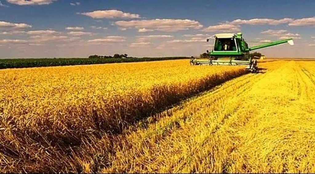 ÇKS başvuru süresi 1 Eylül'e kadar uzatıldı