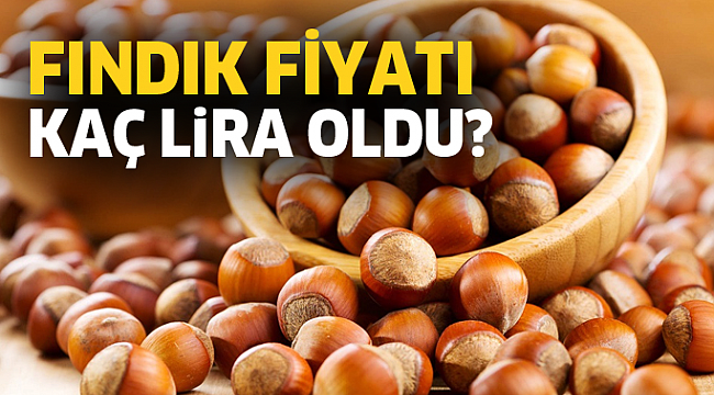 Samsun Haber- 21 Eylül güncel fındık fiyatları