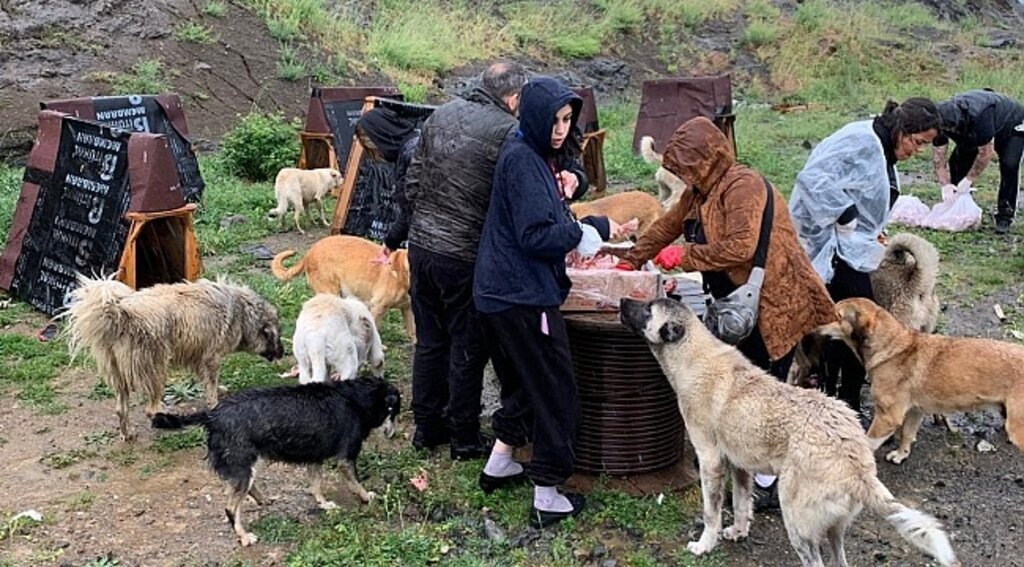 Samsun'da hayvanseverleri yağmur bile durduramadı