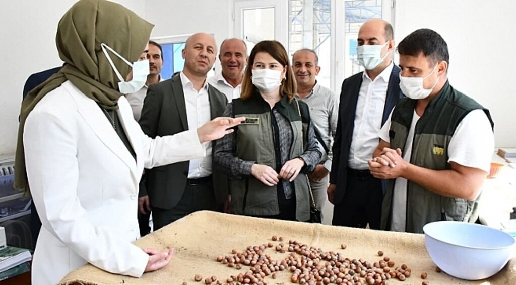 Başkan Kılıç: Fındık üreticisi fiyattan memnun - samsun haber