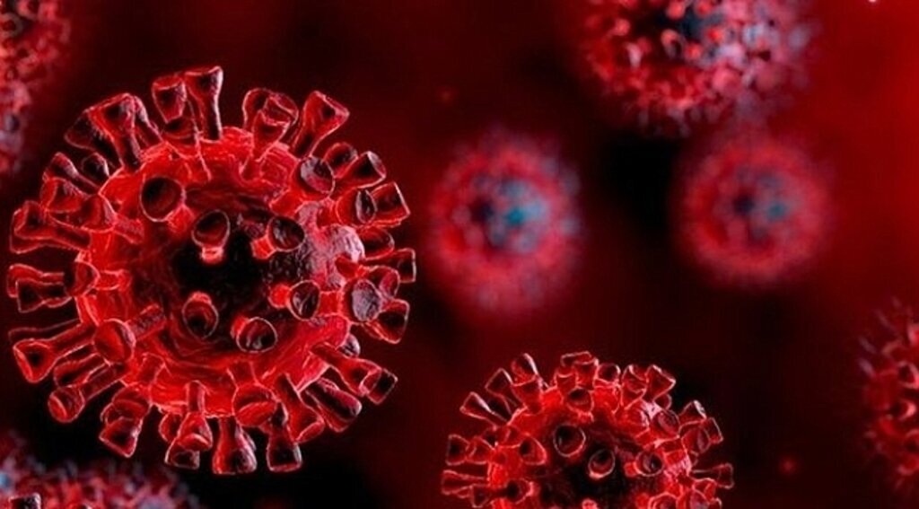 Korona virüsten son 24 saatte 228 kişi hayatını kaybetti