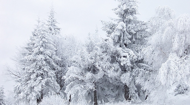  Meteorolojiden Orta ve Doğu Karadeniz'e  kuvvetli yağış ve kar uyarısı