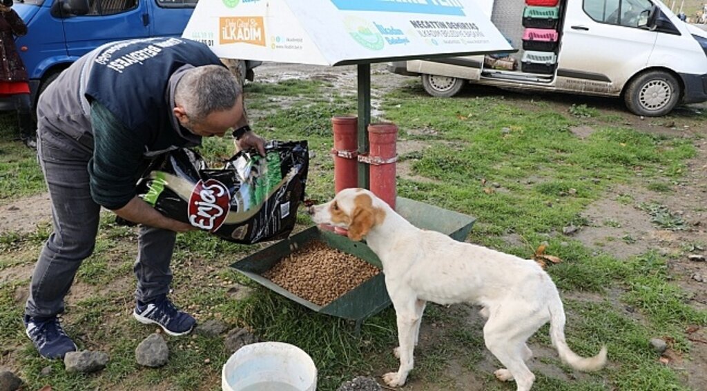Başkan Demirtaş’tan rakamlarla değerlendirme