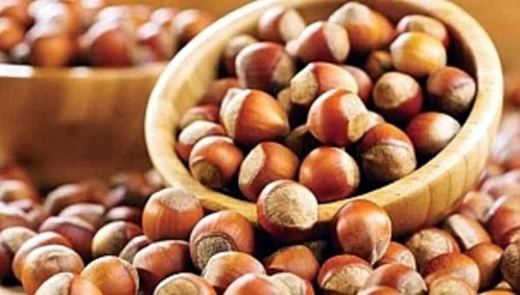 28 Şubat güncel fındık fiyatları