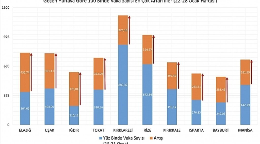 Bakan Koca vaka sayıları en çok artan illeri açıkladı