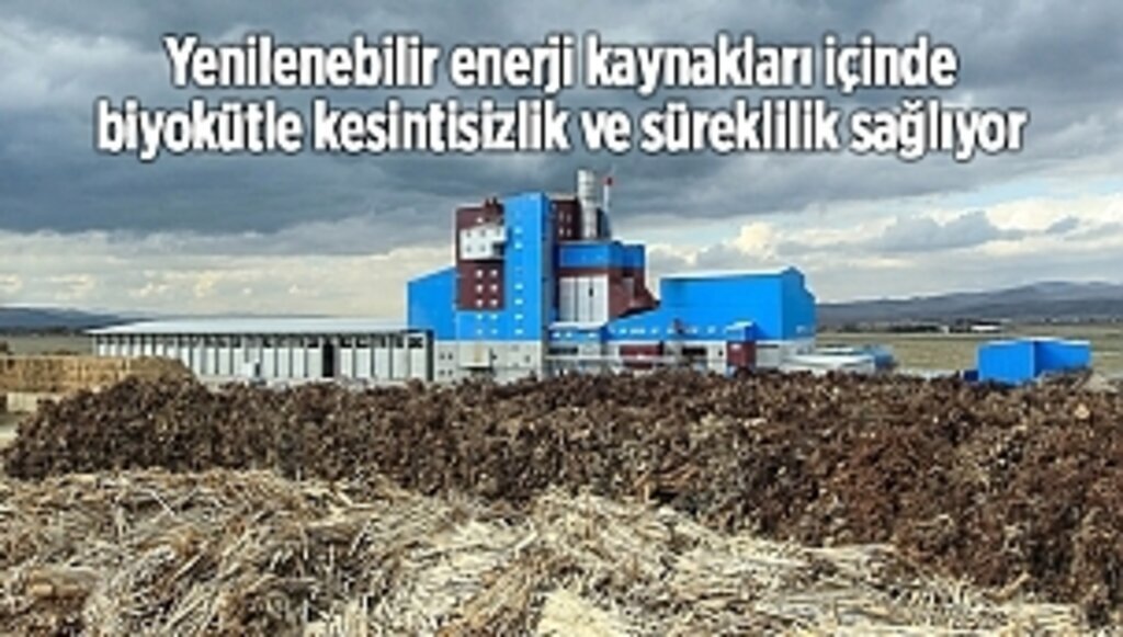 Yenilenebilir enerji kaynakları içinde biyokütle kesintisizlik ve süreklilik sağlıyor