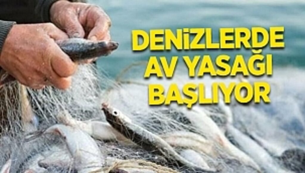 Denizlerde Av Yasağı Başlıyor