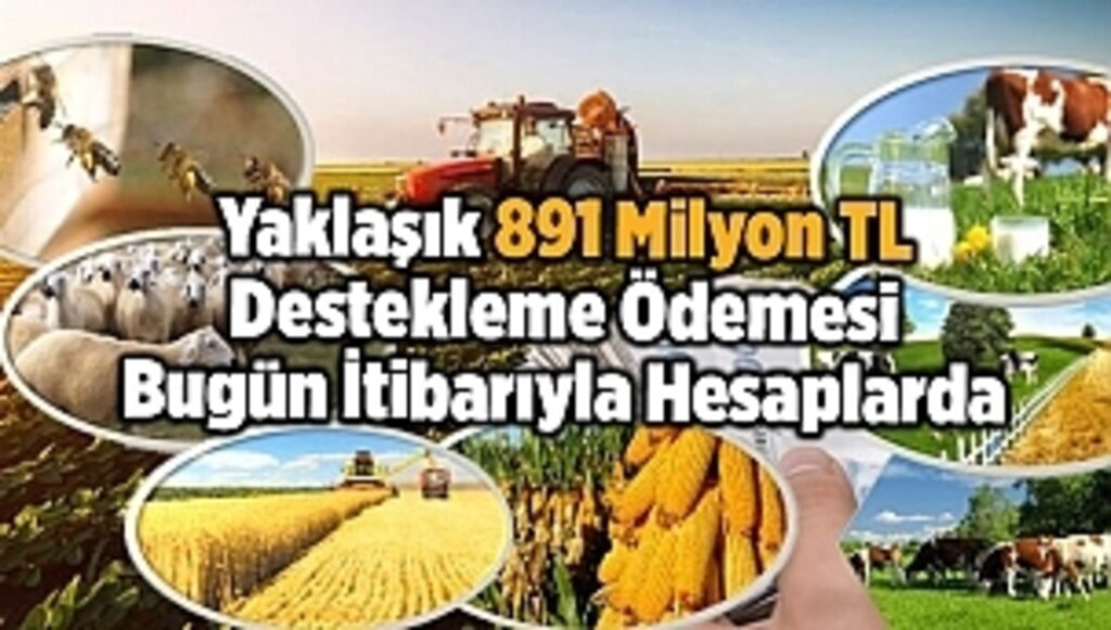 Yaklaşık 891Milyon TL Destekleme Ödemesi Bugün İtibarıyla Hesaplarda