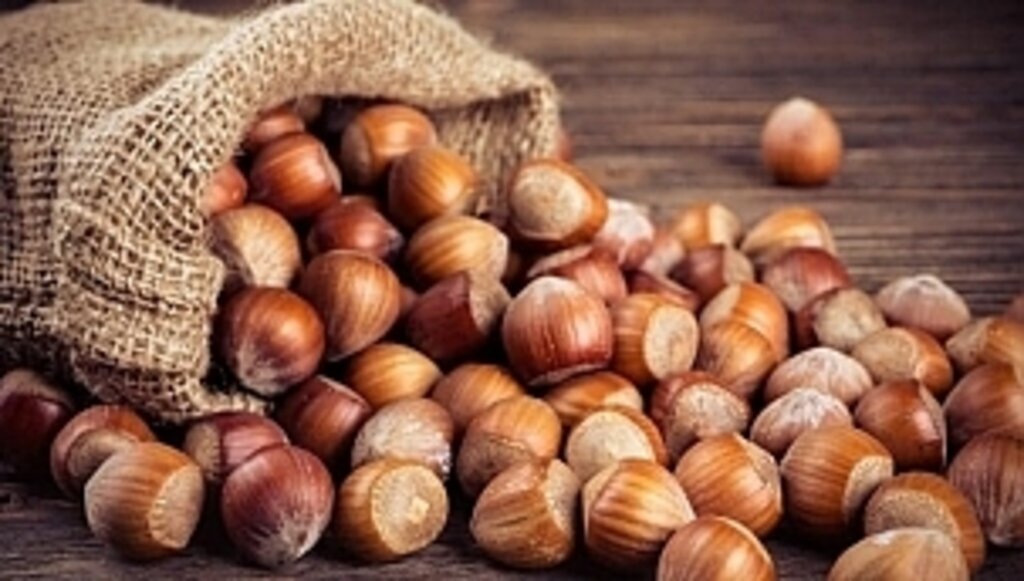 14 Mayıs güncel fındık fiyatları