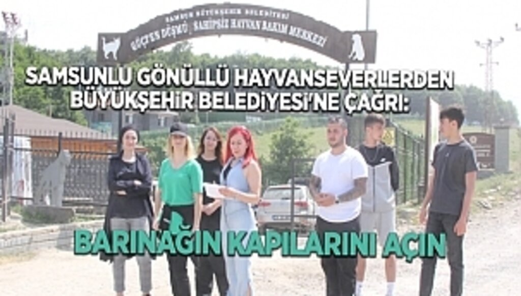 Samsunlu gönüllü hayvanseverlerden Büyükşehir Belediyesi'ne çağrı: BARINAĞIN KAPILARINI AÇIN