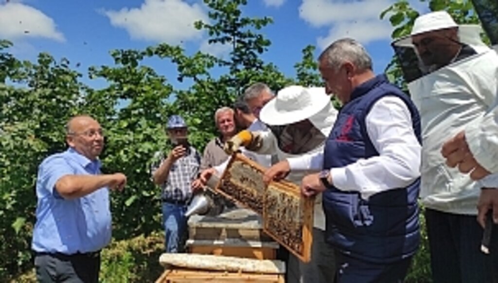 Samsun’un Salıpazarı İlçesinde sezonun ilk bal sağımı yapıldı