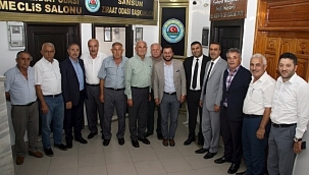 Milletvekili Yılmaz: 