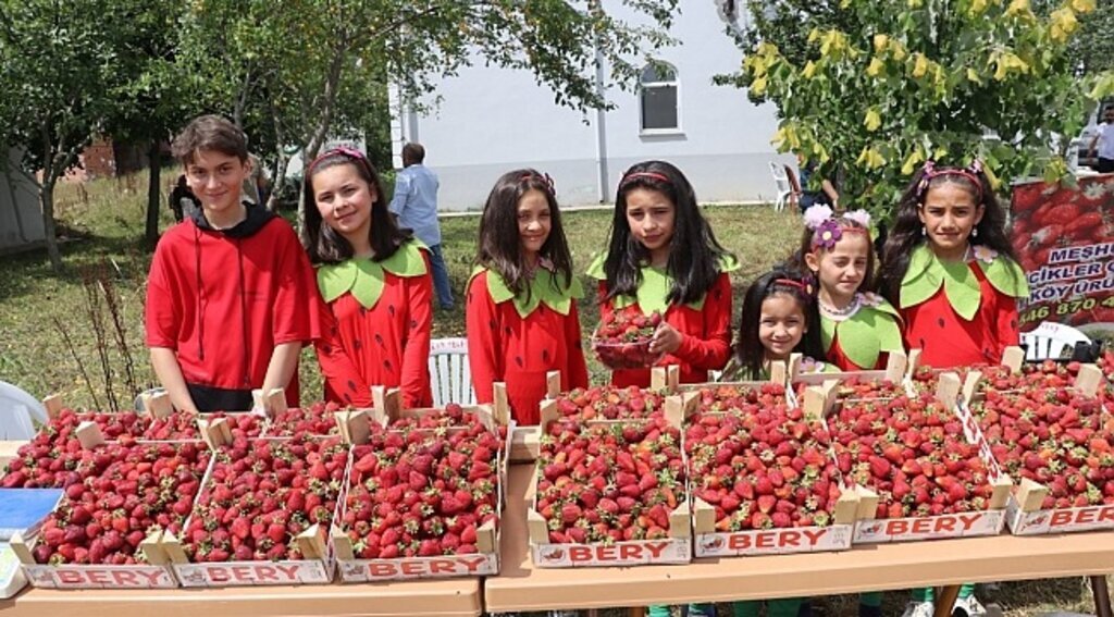 Samsun'da Çilek Festivali