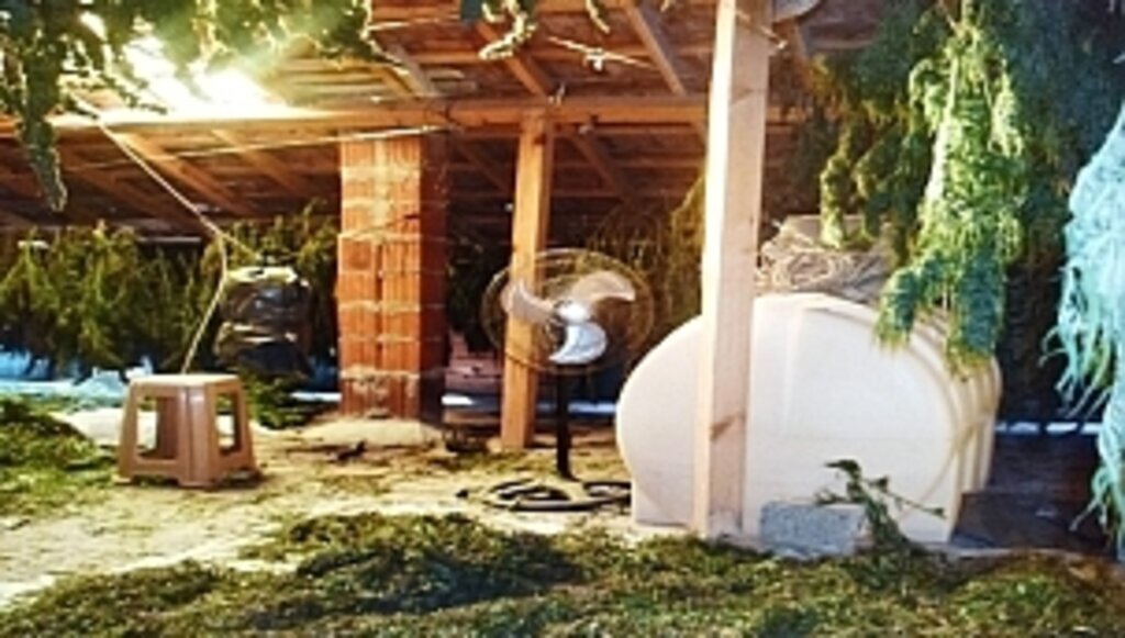 Bafra’da Zehir Tacirlerine Büyük Darbe