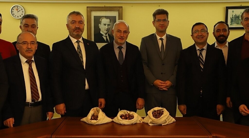 19 Mayıs'a kestane ormanı kurulacak