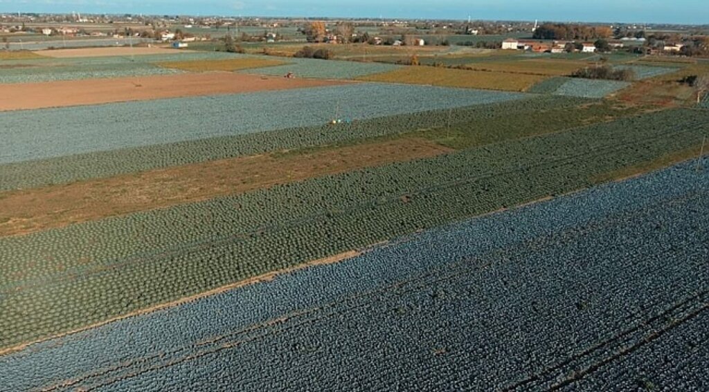 Samsun'da köylünün imdadına yargı yetişti