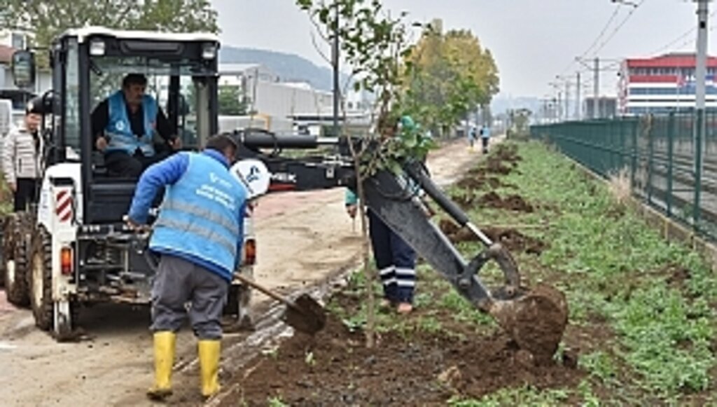 Tekkeköy’de 1500 fidan toprakla buluştu