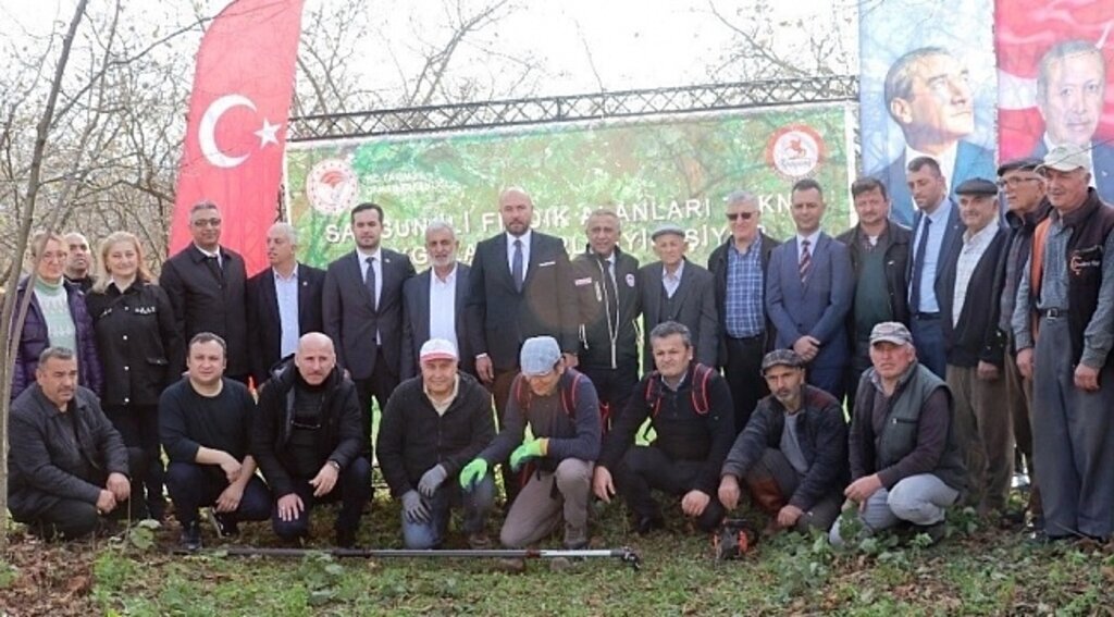 Samsun'da 112 bin 301 ton fındık üretildi