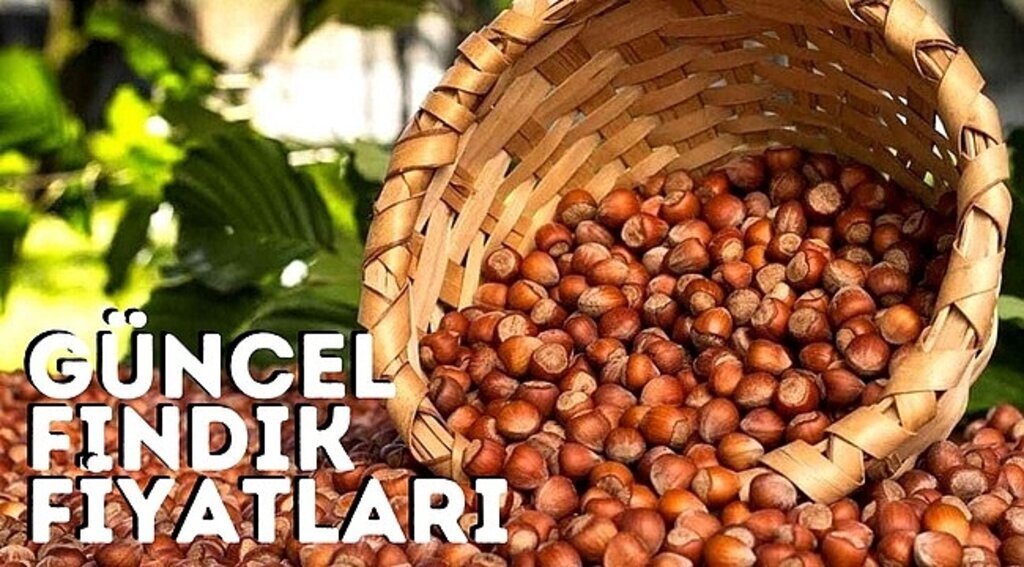 21 Ocak güncel fındık fiyatları