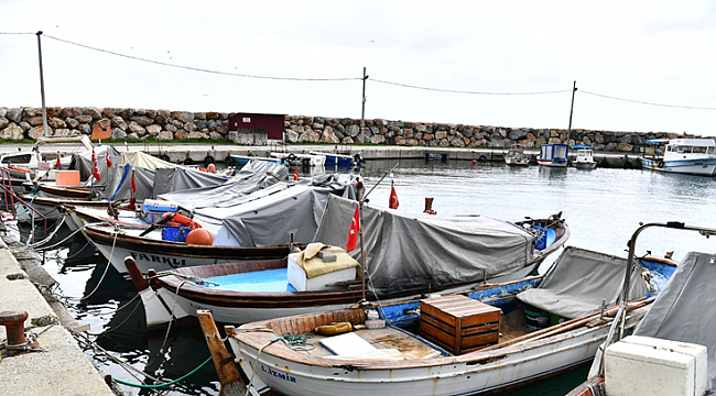  Küçük Ölçekli Balıkçılık Destekleri için başvurular 30 Ocak'ta