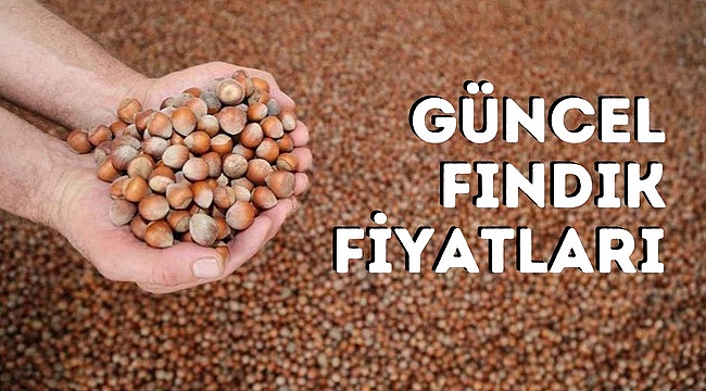 9 Şubat güncel fındık fiyatları