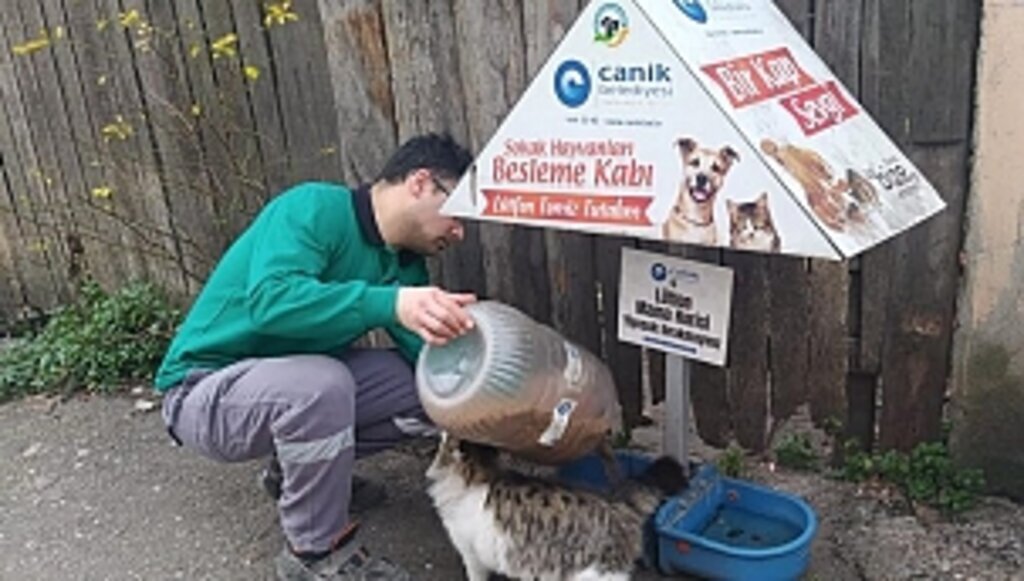Canik Belediyesi Can Dostları İçin Sahada - samsun haber