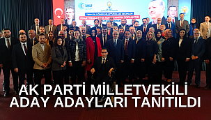 AK PARTİ'DE ADAY ADAYLARI TANITILDI