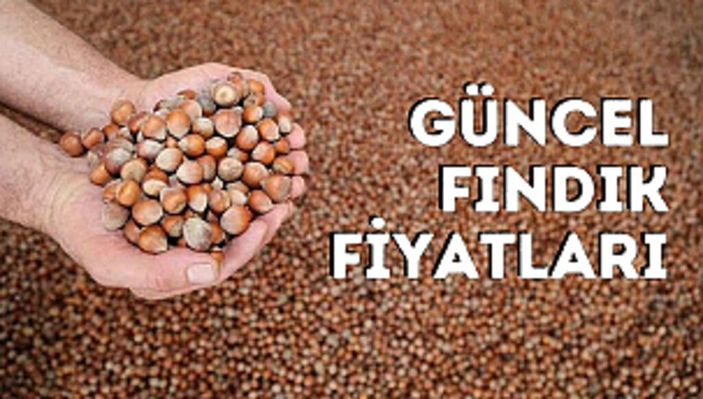 Fındık fiyatları ne kadar oldu? 