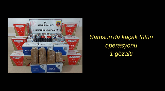 Samsun'da kaçak tütün operasyonu