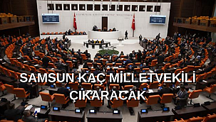 Samsun Haber - Samsun kaç milletvekili çıkaracak?
