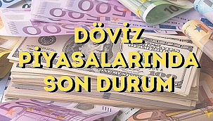 SERBEST PİYASADA DÖVİZ