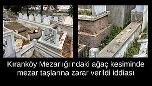 Kıranköy Mezarlığında Ağaç Kesimlerine Tepki!