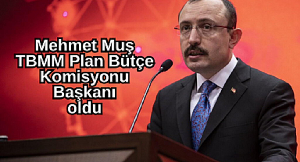 Mehmet Muş TBMM Plan Bütçe Komisyonu Başkanı oldu