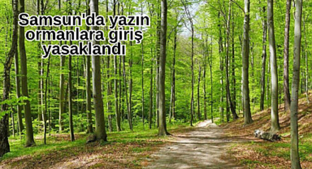 Samsun'da yazın ormanlara giriş yasaklandı